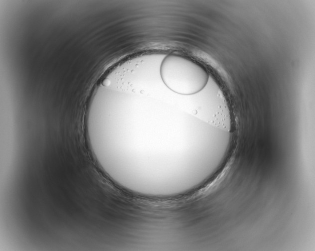 X0000094791025200711301602