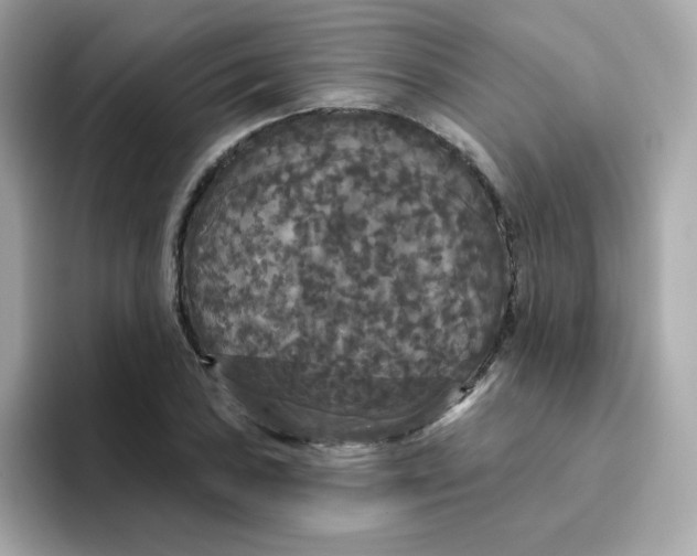 X0000094791027200711301602