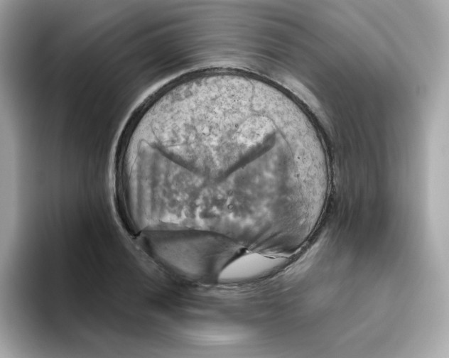 X0000094791028200711301602