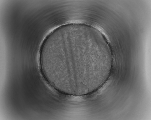 X0000094791030200711301602