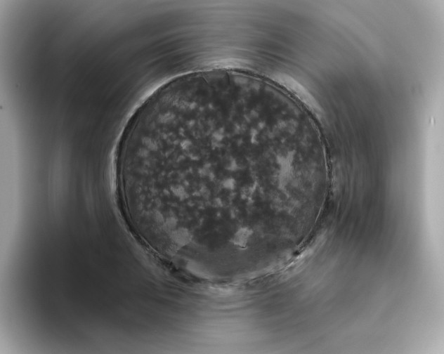 X0000094791031200711301602