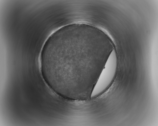 X0000094791032200711301602