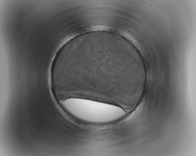 X0000094791034200711301602