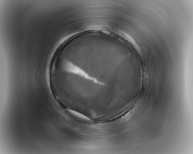 X0000094791035200711301602