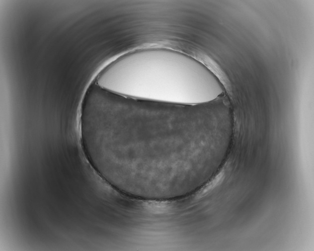 X0000094791036200711301602