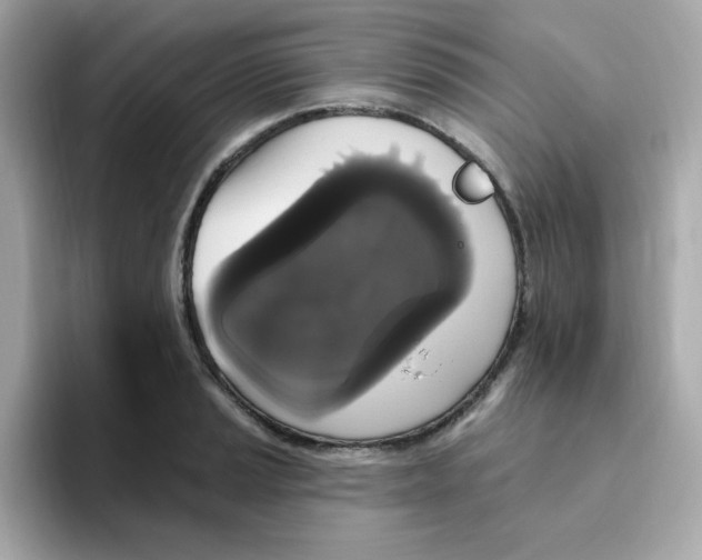 X0000094791037200711301602