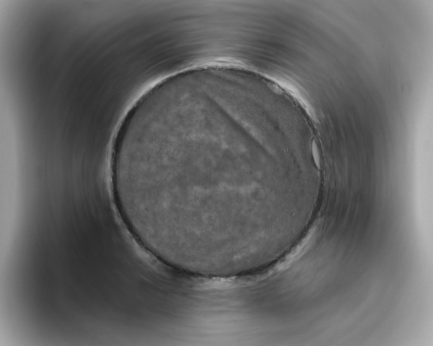 X0000094791038200711301602