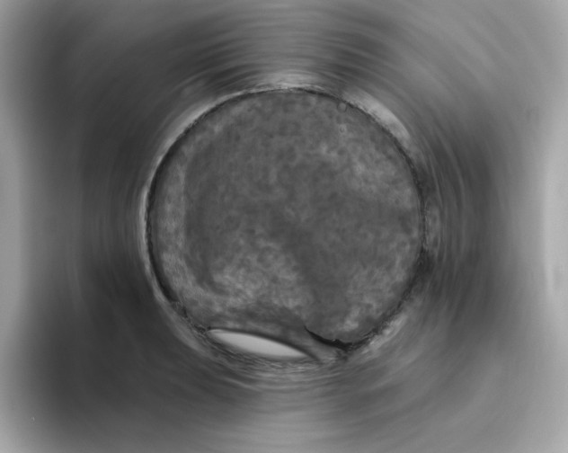 X0000094791039200711301602