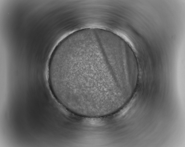 X0000094791040200711301602