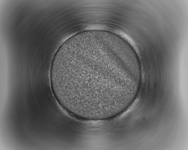 X0000094791041200711301602