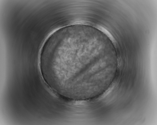 X0000094791043200711301602