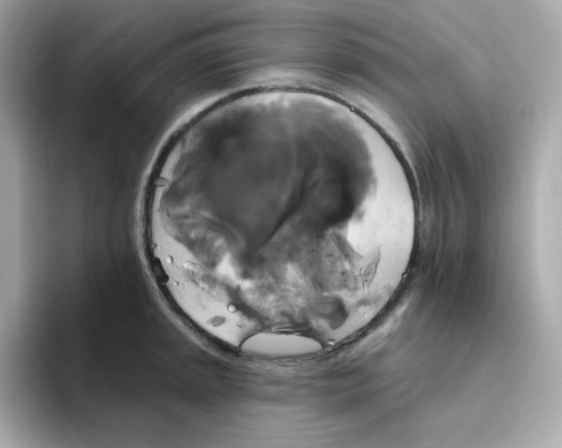 X0000094791045200711301602