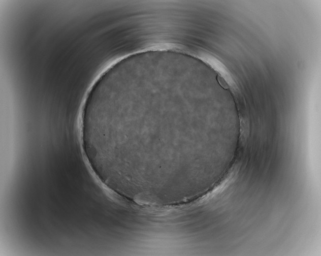 X0000094791046200711301602