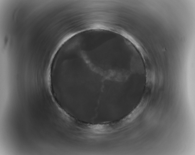 X0000094791048200711301602