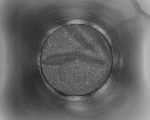 X0000094791049200711301602