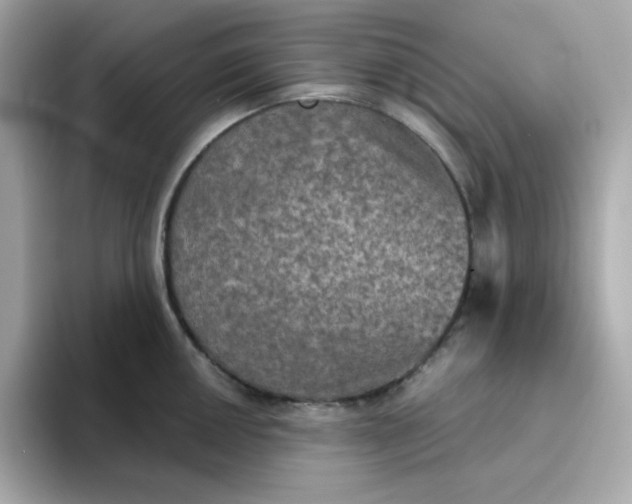 X0000094791050200711301602