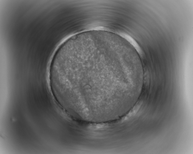 X0000094791051200711301602