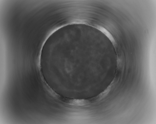 X0000094791052200711301602