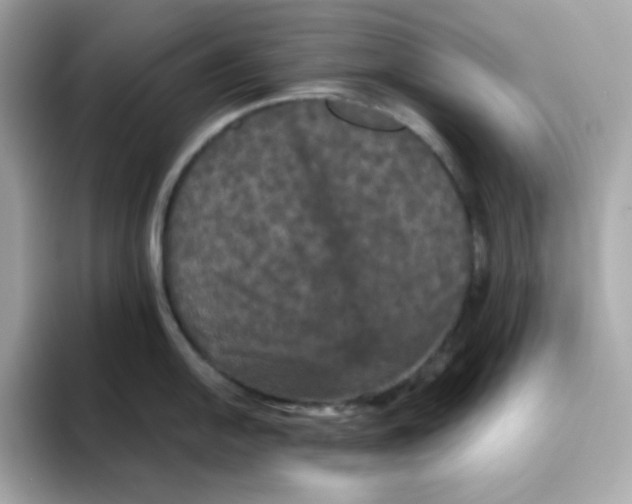 X0000094791054200711301602