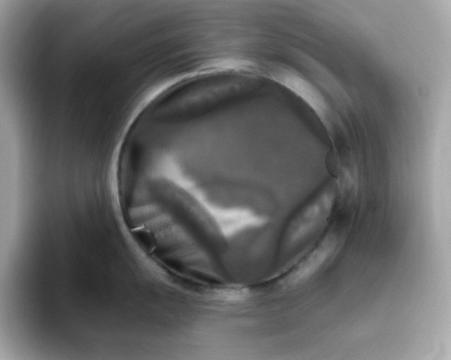 X0000094791055200711301602