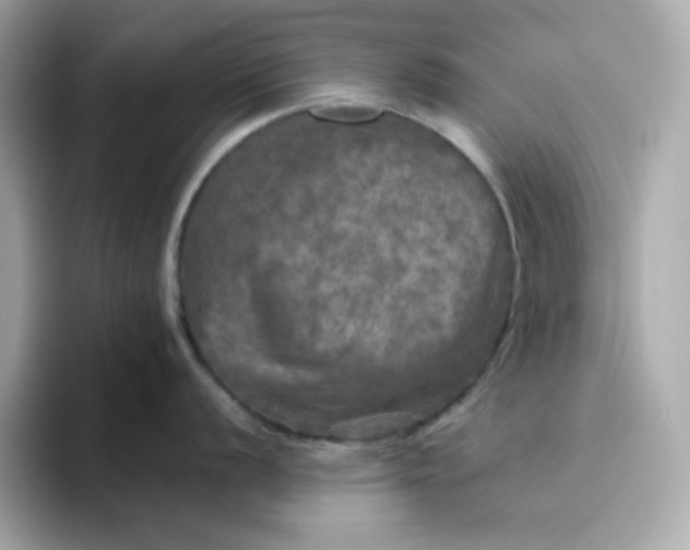 X0000094791056200711301602