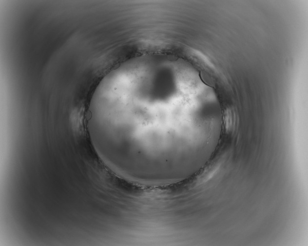 X0000094791059200711301602