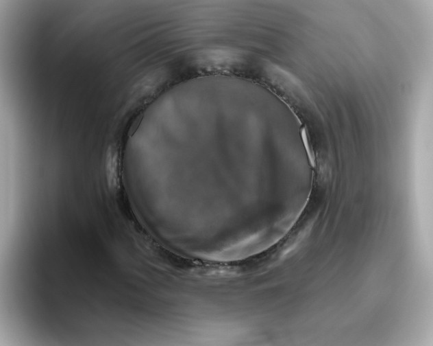 X0000094791060200711301602