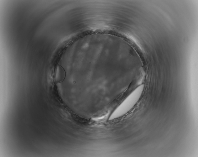 X0000094791063200711301602