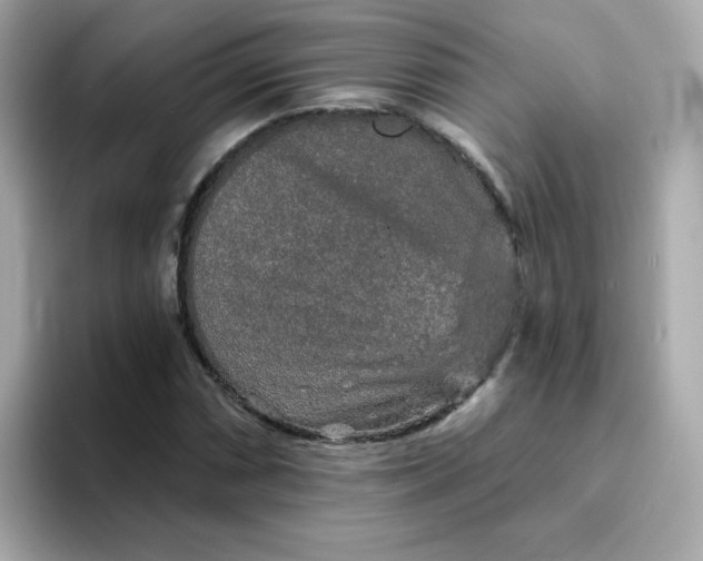 X0000094791066200711301602