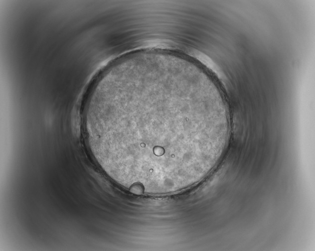 X0000094791067200711301602