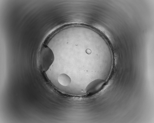 X0000094791069200711301601