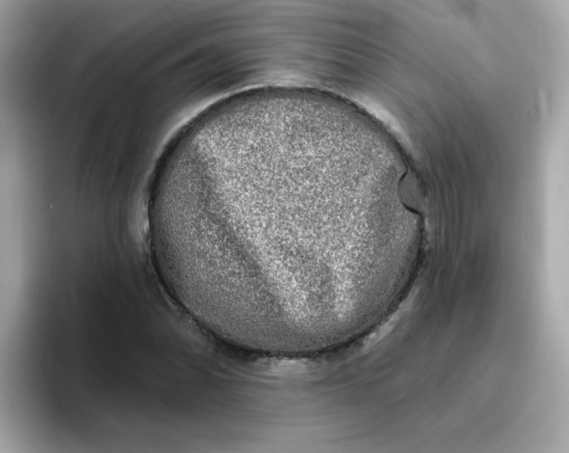 X0000094791070200711301601