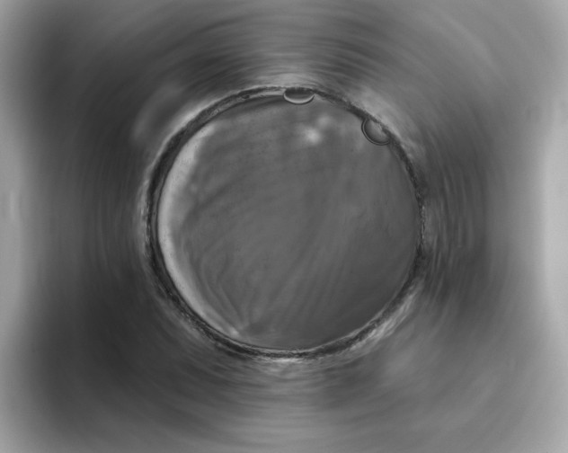 X0000094791071200711301601