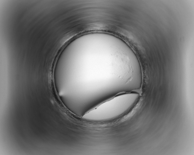 X0000094791073200711301601