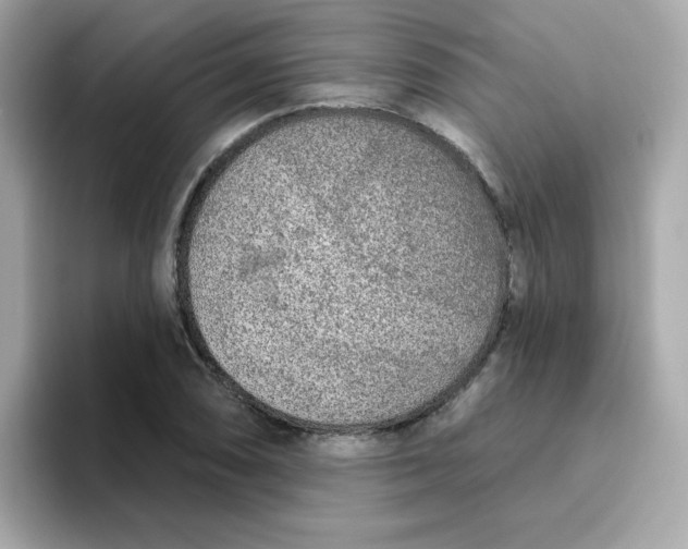 X0000094791074200711301601