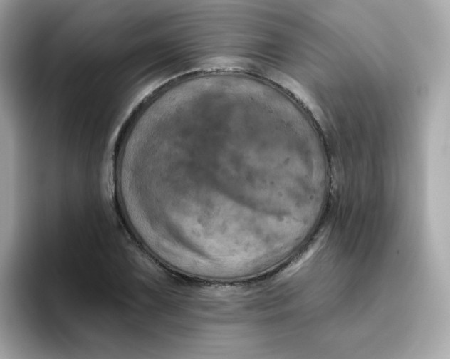 X0000094791075200711301601