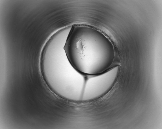 X0000094791076200711301601