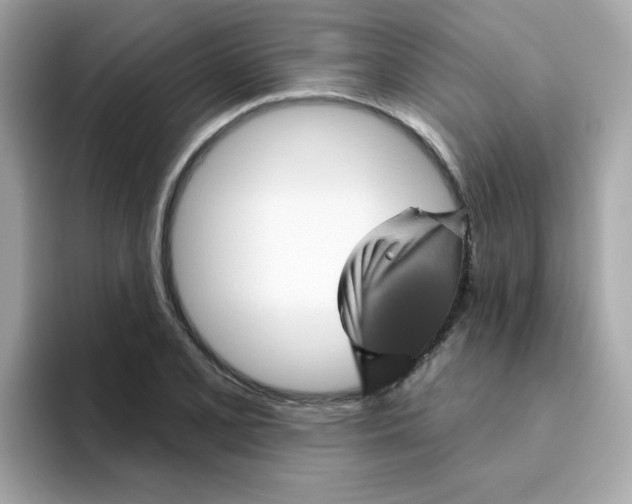 X0000094791077200711301601