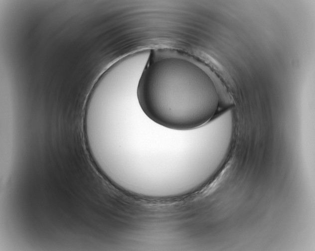 X0000094791081200711301601