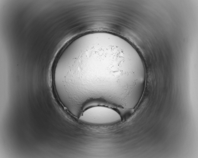 X0000094791082200711301601