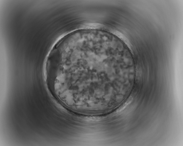 X0000094791083200711301601