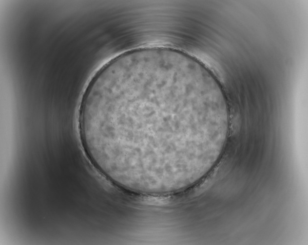 X0000094791086200711301601