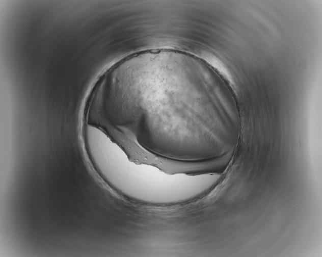 X0000094791088200711301601