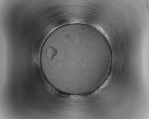 X0000094791089200711301601