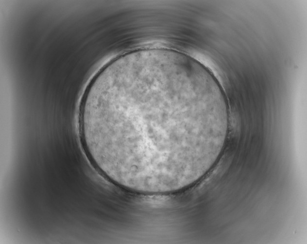 X0000094791090200711301601