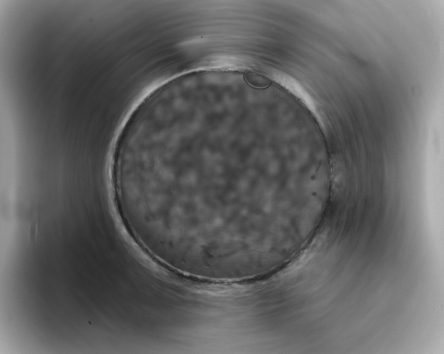 X0000094791091200711301601