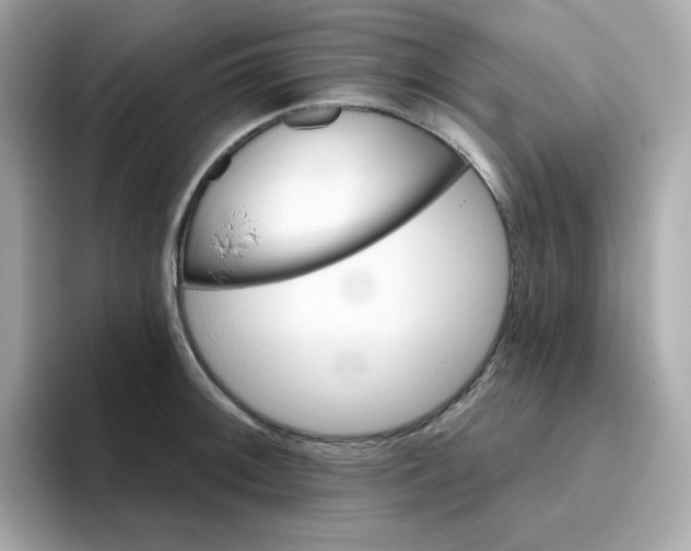 X0000094791092200711301601