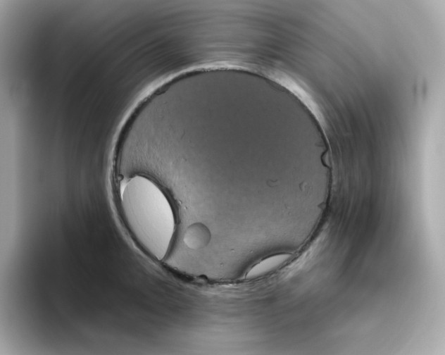 X0000094791093200711301601