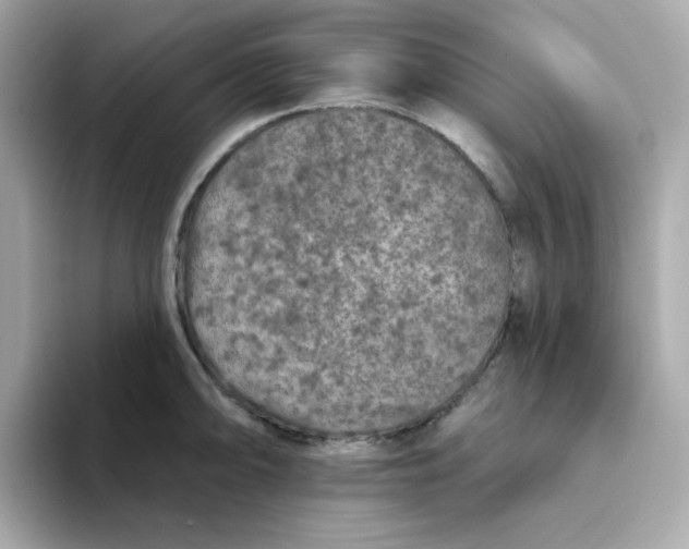 X0000094791094200711301601