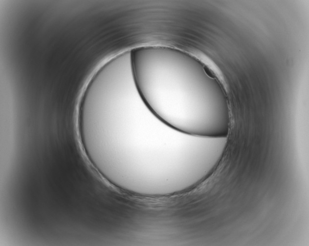 X0000094791096200711301601